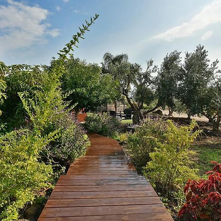 The Golan Cabin Villa Had Nes Eksteriør bilde